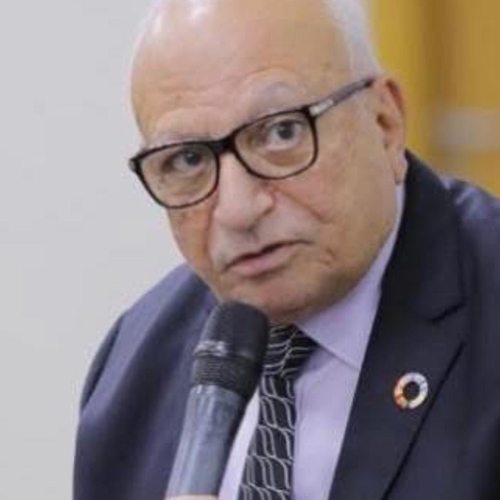 Magdy Wahba